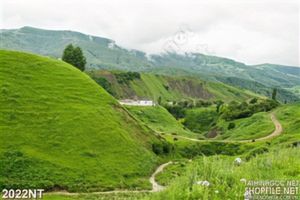 Tranh nhưng ngọn đòi xanh