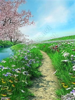 Tranh con đường hoa mùa xuân