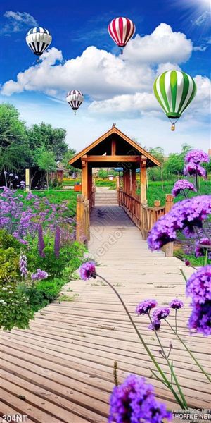 Tranh con đường và khinh khí cầu
