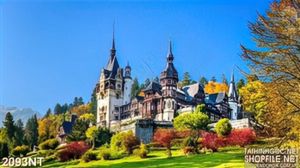 Tranh lâu đài bên bìa rừng 3d
