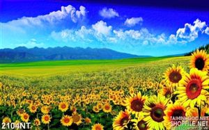 Tranh cánh đồng hướng dương bên đồi