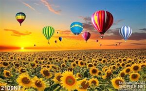 Tranh kinh phí cầu trên đồng hướng dương