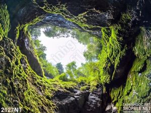 Tranh cửa hang động treo tường