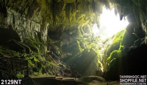 Tranh ánh sáng chiếu qua hang động