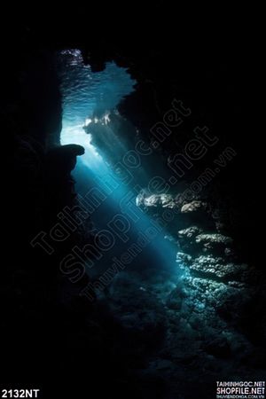 Tranh mõm đá dưới đại dương