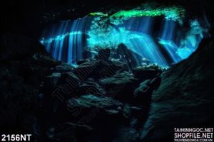 Tranh hang động dưới đáy biển
