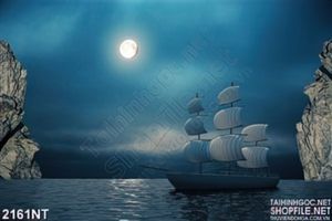Tranh con tàu trên biển về đêm