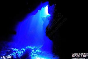 Tranh ánh sáng chiếu xuống đấy biển