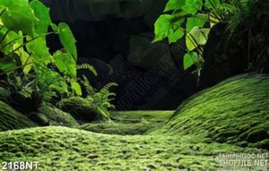 Tranh đồi cỏ xanh trong đêm