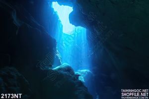 Tranh ánh sáng bên khe đá dưới đáy biển