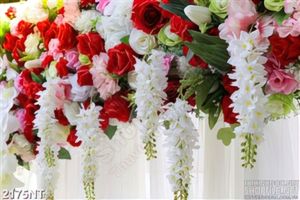 Tranh giàn hoa rủ cánh treo tường