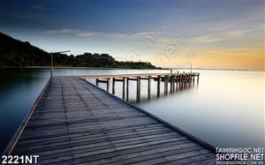 Tranh cây cầu dẫn ra giữa sông