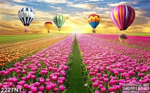 Tranh kinh phí cầu bay trên đồng tulip