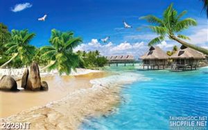 Tranh hải âu bay lượn trên bãi biển xanh