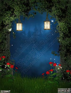 Tranh cánh cửa treo đèn về đêm in uv