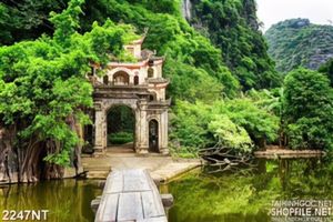 Tranh cây cầu bắc sang cổng đền
