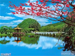 Tranh mặt hồ yên tĩnh bên cây cầu