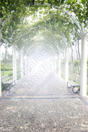 Tranh lối đi rập xanh lá