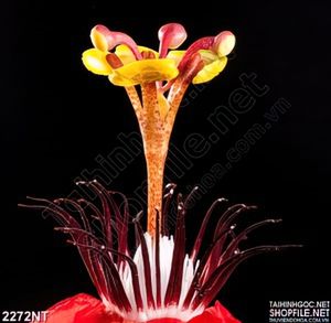 Tranh nhụy hoa vươn cao