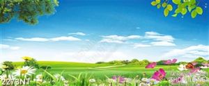 Tranh bầu trời xanh trên cánh đồng cỏ