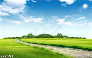Tranh con đường mòn trên cánh đồng cỏ