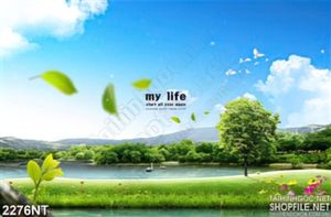 Tranh hồ nước giữa rừng xanh treo tường