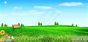 Tranh chiếc ghế trên đồng cỏ xanh