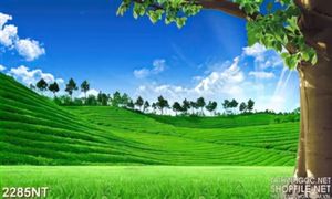 Tranh ngọn đồi có xanh in uv