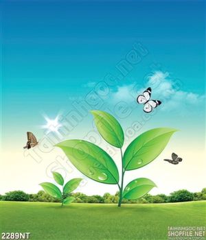 Tranh đàn bướm và bầu trời xanh