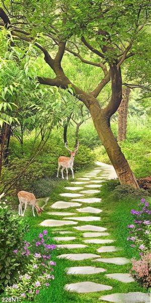 Tranh con đường vào khu rừng