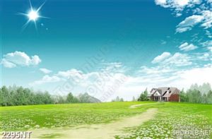 Tranh ánh nắng tỏa khắp cánh đồng