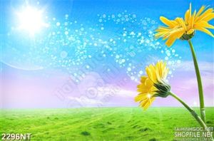 Tranh bông hoa tỏa hương trên cánh đồng