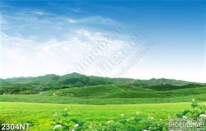 Tranh đồng bằng xanh trang trí tường nhà