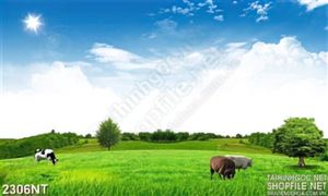 Tranh đàn bò gặm cỏ treo tường