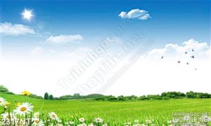 Tranh đồng hoa dưới trời xanh 3d