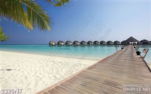 Tranh cây cầu dẫn ra túp lều giữa biển