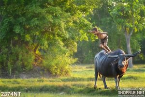 Tranh họa tiết màu đen treo tường