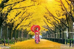 Tranh con đường lá vàng treo tường