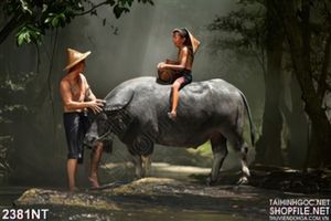 Tranh em bé chăn trâu