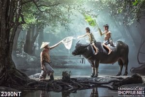 Tranh chăn trâu trong rừng sâu 3d