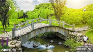 Tranh cây cầu trong công viên