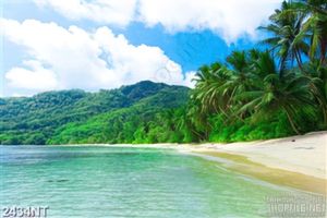 Tranh rặng dừa trên bờ biển