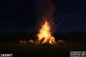 Tranh ngọn lửa trong đêm tối