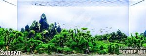 Tranh đồi cỏ trên biển