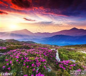 Tranh thung lũng hoa dưới nền trời đỏ
