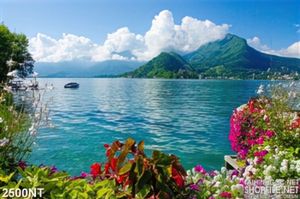 Tranh rừng hoa trên bờ biển treo tường