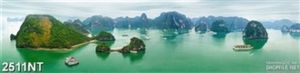 Tranh những con vịnh tronng mơ