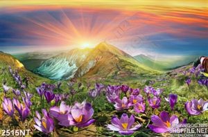 Tranh ánh bình minh sau ngọn núi