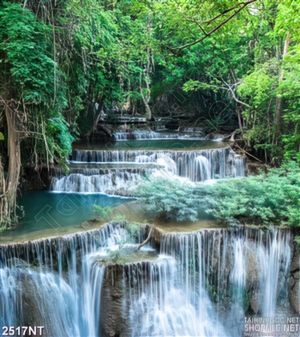 Tranh con suối bậc thang trong rừng