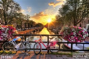 Tranh những chiếc xe đạp trên cầu hoa